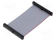 Ribbon cable with IDC connectors; IDC,both sides; 63.5mm; 2.5" SAMTEC
