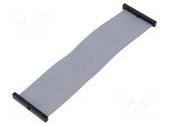 Ribbon cable with IDC connectors; IDC,both sides; 139.7mm; 5.5" SAMTEC