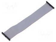 Ribbon cable with IDC connectors; IDC,both sides; 190.5mm; 7.5" SAMTEC