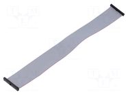 Ribbon cable with IDC connectors; IDC,both sides; 279.4mm; 11" SAMTEC