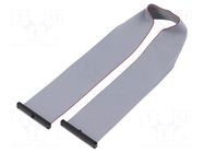 Ribbon cable with IDC connectors; IDC,both sides; 355.6mm; 14" SAMTEC