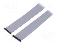 Ribbon cable with IDC connectors; IDC,both sides; 609.6mm; 24" SAMTEC