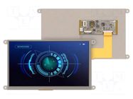 Display: TFT; 9"; 800x480; 8MBRAM,16MbFLASH; 500cd/m2; uC: ESP32 4D Systems