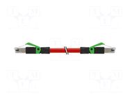 Patch cord; Cat: 5; RJ45 plug,both sides; stranded; Cu; 50m; PUR MURRELEKTRONIK
