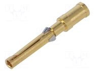 Contact; female; CD; copper alloy; gold-plated; 2.5mm2; 14AWG; 10A ILME
