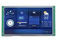 Display: TFT; 10.1"; 1024x600; Illumin: LED; 16MBFLASH; RGB; 8pin,SD Dwin Technology