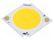 Power LED; white; COB; 27.1W; 4000K; 4829lm; CRImin: 80; 800mA; SLE TRIDONIC