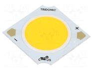 Power LED; white; COB; 16.8W; 4000K; 3102lm; CRImin: 80; 500mA; SLE TRIDONIC