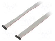 Ribbon cable with IDC connectors; IDC,both sides; 1016mm; 40" SAMTEC