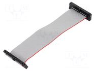 Ribbon cable with IDC connectors; IDC,both sides; 101.6mm; 4" SAMTEC