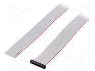 Ribbon cable with IDC connectors; IDC,wires; Tape ph: 0.64mm SAMTEC