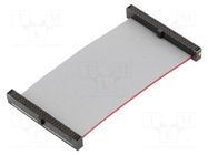 Ribbon cable with IDC connectors; IDC,both sides; 66.04mm; 2.6" SAMTEC