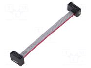 Ribbon cable with IDC connectors; IDC,both sides; 50.8mm; 2" SAMTEC