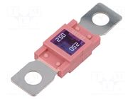 Fuse: fuse; 250A; 32VDC; automotive; 68mm; M8 screw; 68x18.3mm ELED