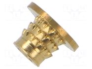 Threaded insert; brass; M2,5; BN 37896; L: 4.1mm; for plastic TAPPEX