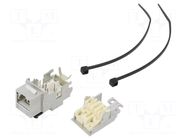 connector 100023173 TELEGÄRTNER