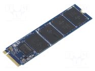 Data storage device: Solid State Drive; M.2 2280 (M Key); 256GB GOODRAM