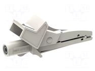 Crocodile clip; 10A; white; Grip capac: max.22mm; Socket size: 4mm ELECTRO-PJP