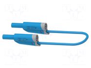 Test lead; 36A; banana plug 4mm,both sides; Len: 0.25m; blue ELECTRO-PJP