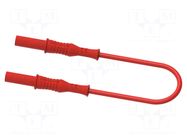 Test lead; 25A; banana plug 4mm,both sides; insulated; Len: 1m ELECTRO-PJP