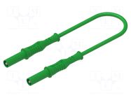 Test lead; 12A; banana plug 4mm,both sides; insulated; Len: 2m ELECTRO-PJP
