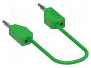 Test lead; 60VDC; 30VAC; 6A; banana plug 2mm,both sides; Len: 0.1m ELECTRO-PJP