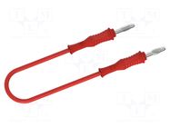 Test lead; 60VDC; 30VAC; 25A; banana plug 4mm,both sides; Len: 1m ELECTRO-PJP