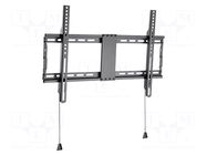 Holder; for wall mounting; 70kg; 37÷80"; black; permanent GEMBIRD