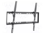 Holder; for wall mounting; 35kg; 37÷70"; black GEMBIRD