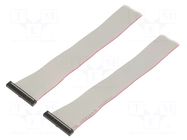 Ribbon cable with IDC connectors; IDC,both sides; 1524mm; 60" SAMTEC