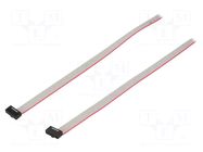 Ribbon cable with IDC connectors; IDC,both sides; 457.2mm; 18" SAMTEC