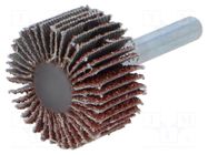 Grinding pin; Granularity: 40; flap,with lever; Mounting: rod 6mm ABRA BETA