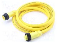 Cable: for sensors/automation; PIN: 4; plug; 600V; IP67; 5m; 10A MOLEX