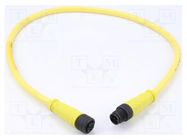 Cable: for sensors/automation; PIN: 5; plug; 250VDC; Micro-Change MOLEX