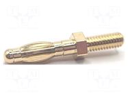 Connector: 4mm banana; plug; 35A; 30.5mm; gold-plated; M4; brass MUELLER ELECTRIC