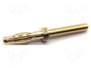 Connector: 4mm banana; plug; 35A; 40.5mm; gold-plated; M4; brass MUELLER ELECTRIC