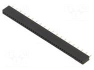 Pin socket; PIN: 20; 1x20; 2.54mm DISPLAY VISIONS
