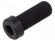 Screw; M10x25; 1.5; Head: cheese head; hex key; HEX 6mm; steel ELESA+GANTER
