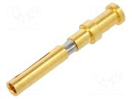 Contact; female; CD; copper alloy; gold-plated; 0.75mm2; crimped ILME