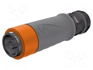 Connector: AC supply; screw terminal (AxiClamp); male; 16BL; 630A STÄUBLI