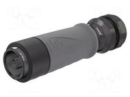 Connector: AC supply; screw terminal (AxiClamp); male; 16BL; 630A STÄUBLI