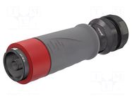 Connector: AC supply; screw terminal (AxiClamp); male; 16BL; 630A STÄUBLI