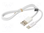 Cable; USB 2.0; USB A plug,USB C plug; 500mm; white; 480Mbps; 60W LOGILINK