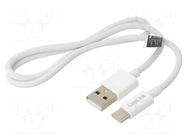 Cable; USB 2.0; USB A plug,USB C plug; 500mm; white; 480Mbps; 60W LOGILINK