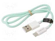 Cable; USB 2.0; USB A plug,USB C plug; 500mm; green; 480Mbps; 60W LOGILINK