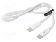 Cable; USB 2.0; USB C plug,both sides; 500mm; white; 480Mbps; 60W LOGILINK