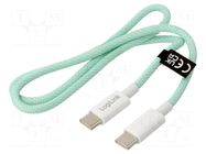 Cable; USB 2.0; USB C plug,both sides; 500mm; green; 480Mbps; 60W LOGILINK