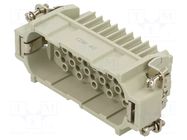 Connector: HDC; contact insert; male; CD; PIN: 40; 10A; 600V; 40+PE ILME