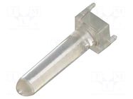 Fiber for LED; Ø3mm; L: 2.5mm; round; Front: convex; straight; PLP2 BIVAR