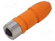 Cable: for sensors/automation IFM ELECTRONIC